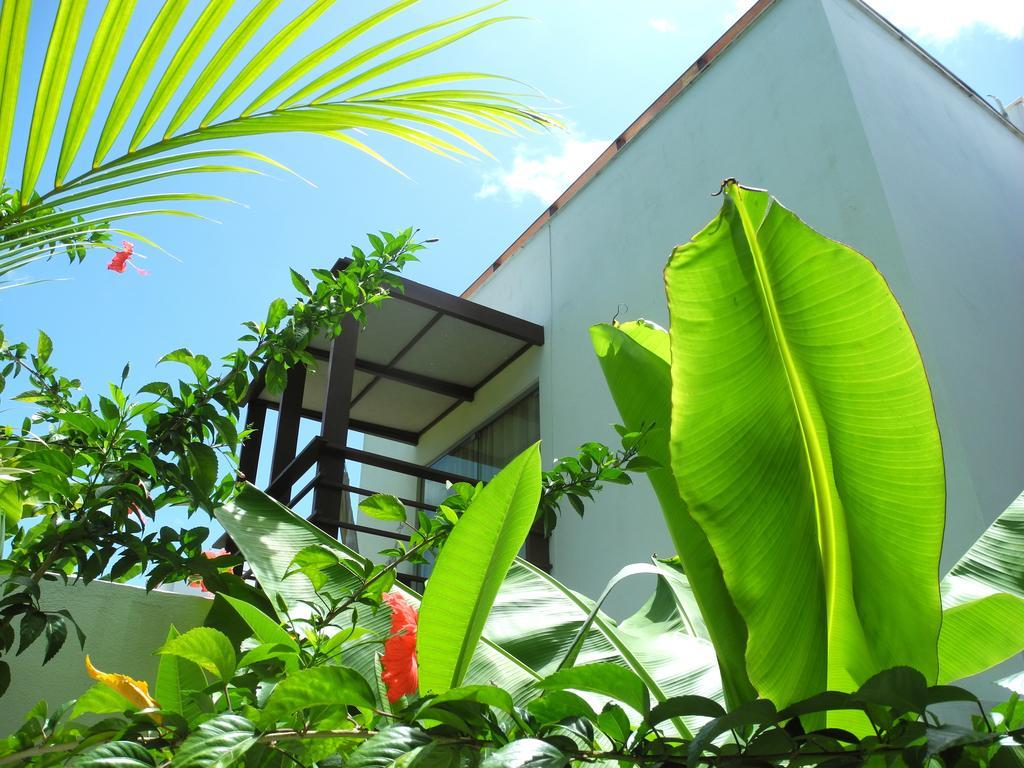 La Reserve Design Villa Ida Praia de Pipa Værelse billede